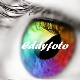 Eddy Foto