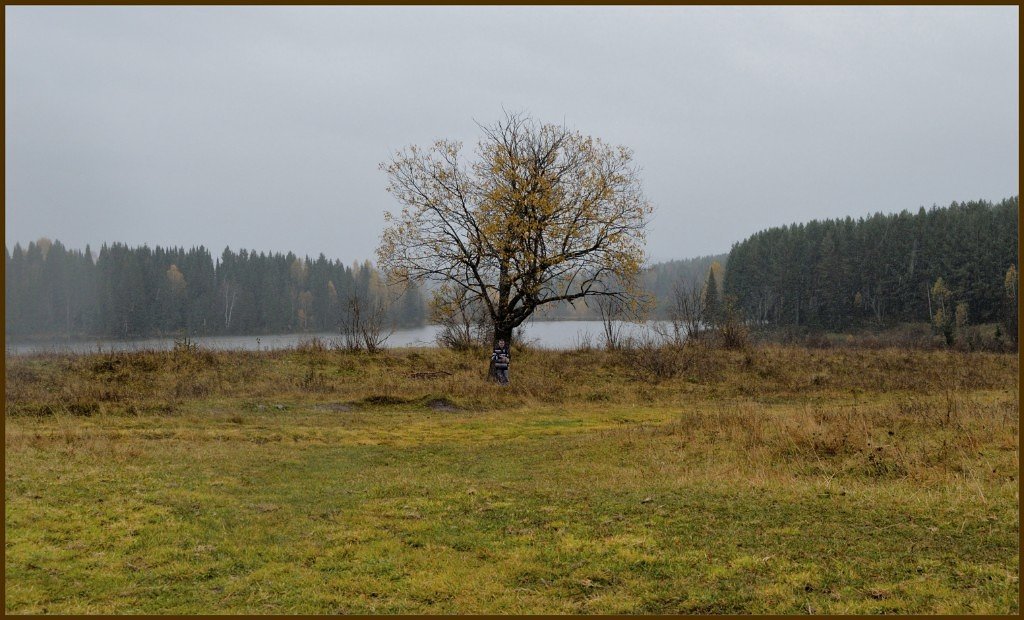 Осенний автопортрет. - Анатолий Пашковский