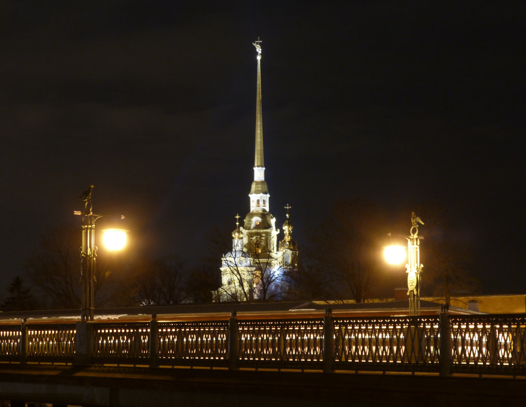 Петропавловка - Олег Николаев