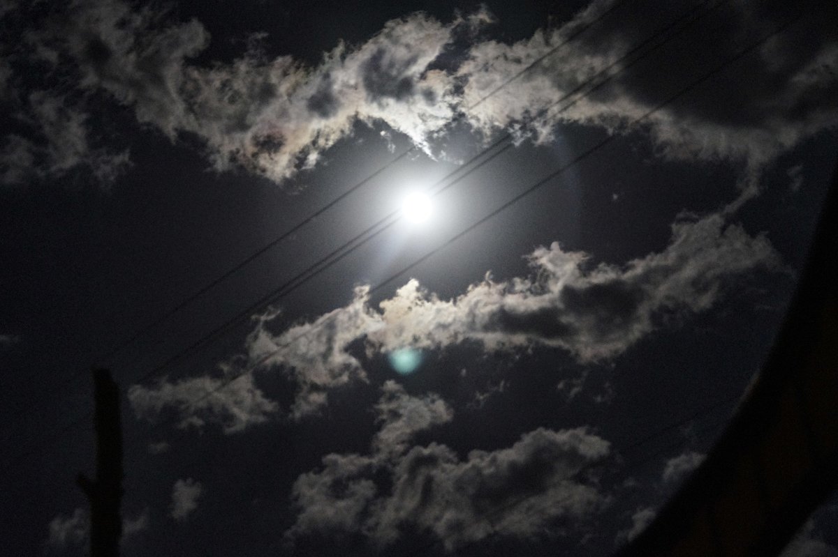 Лунный свет -самый удивительный свет в мире - Тамара 