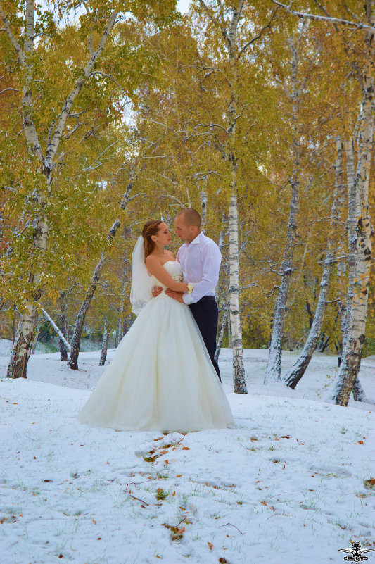 Свадьба в первый снег - Татьяна Карканица