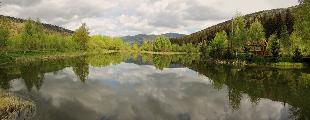 В Карпатах - Роман Савоцкий