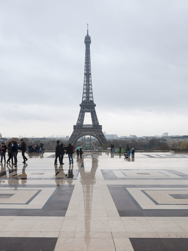 Eiffel tower - Mikhail Kuznetsov