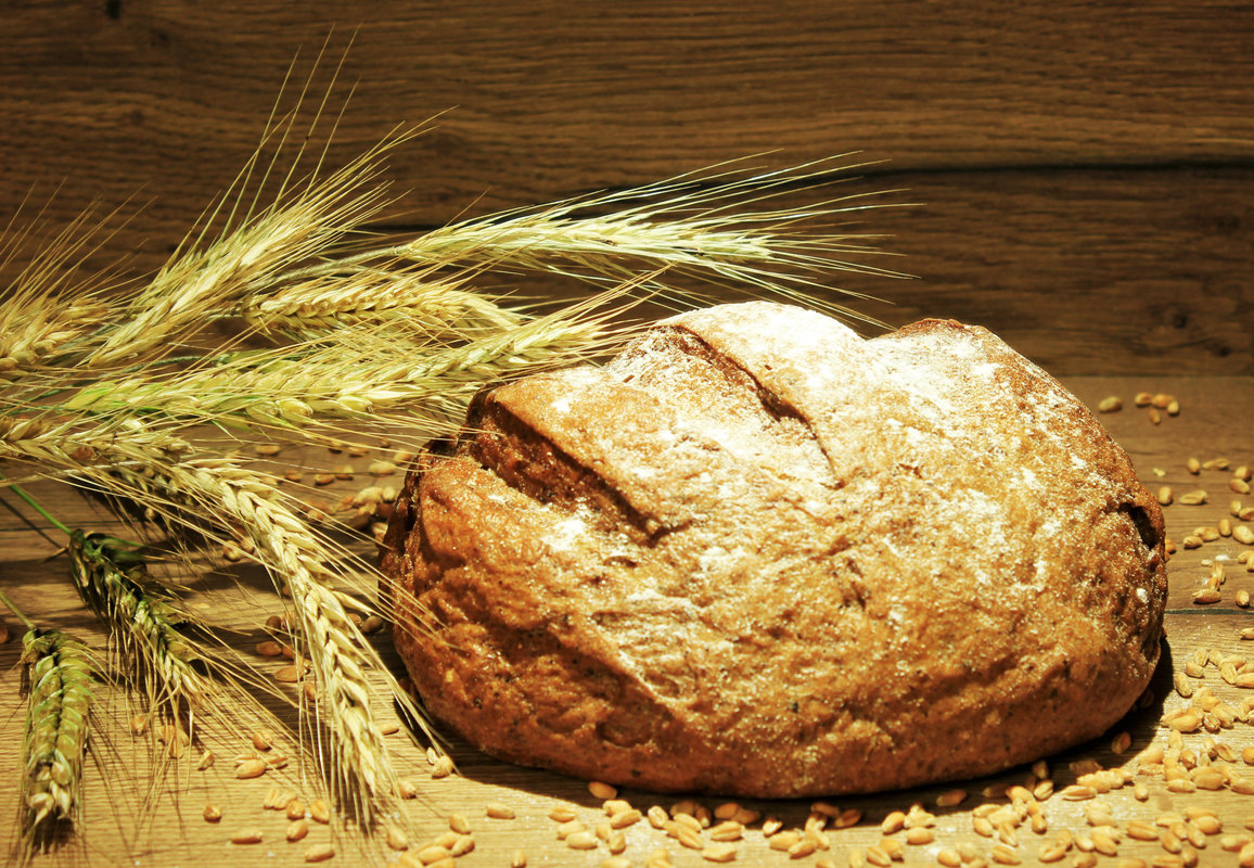 хлеб из пшеницы - Влад Платов