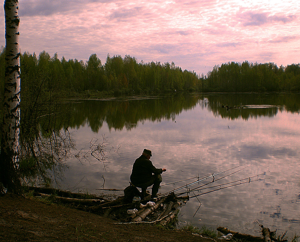 утро на рыбалке... - александр дмитриев 