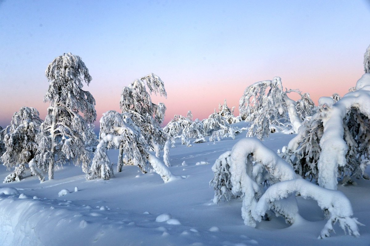 Зимние каникулы в Лапландии - Генрих 