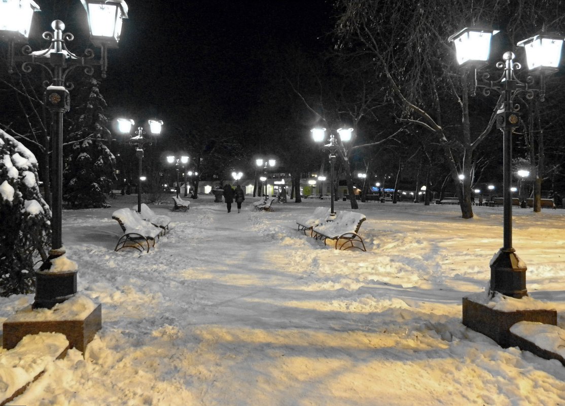 Зима, ночь, тишина - Роман Савоцкий