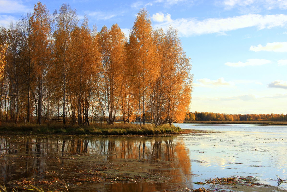 Осенний островок - Нэля Лысенко