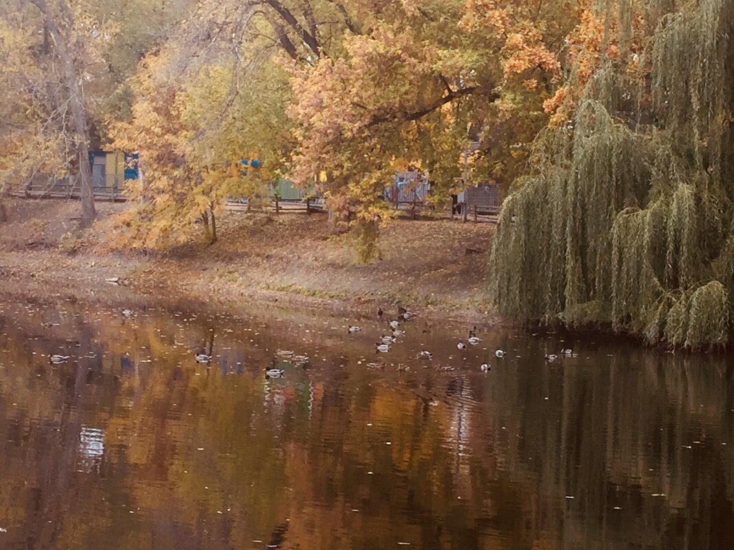 Утро в парке - Оксана 
