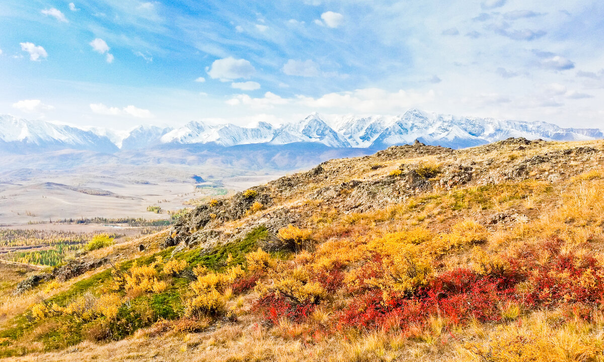 Разноцветная осень в горах Алтая. - Олег Игуменов