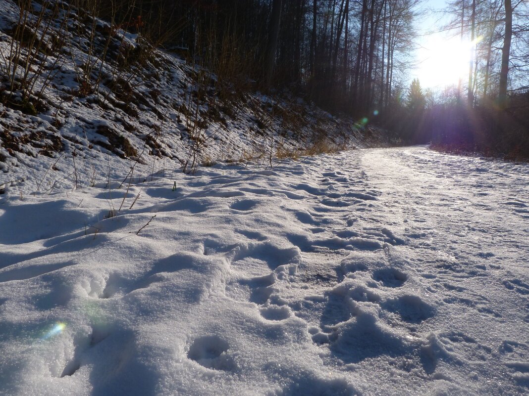 Следы на снегу - Heinz Thorns