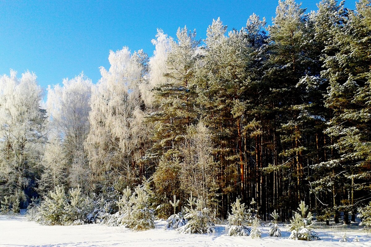 зимний пейзаж - Владимир 