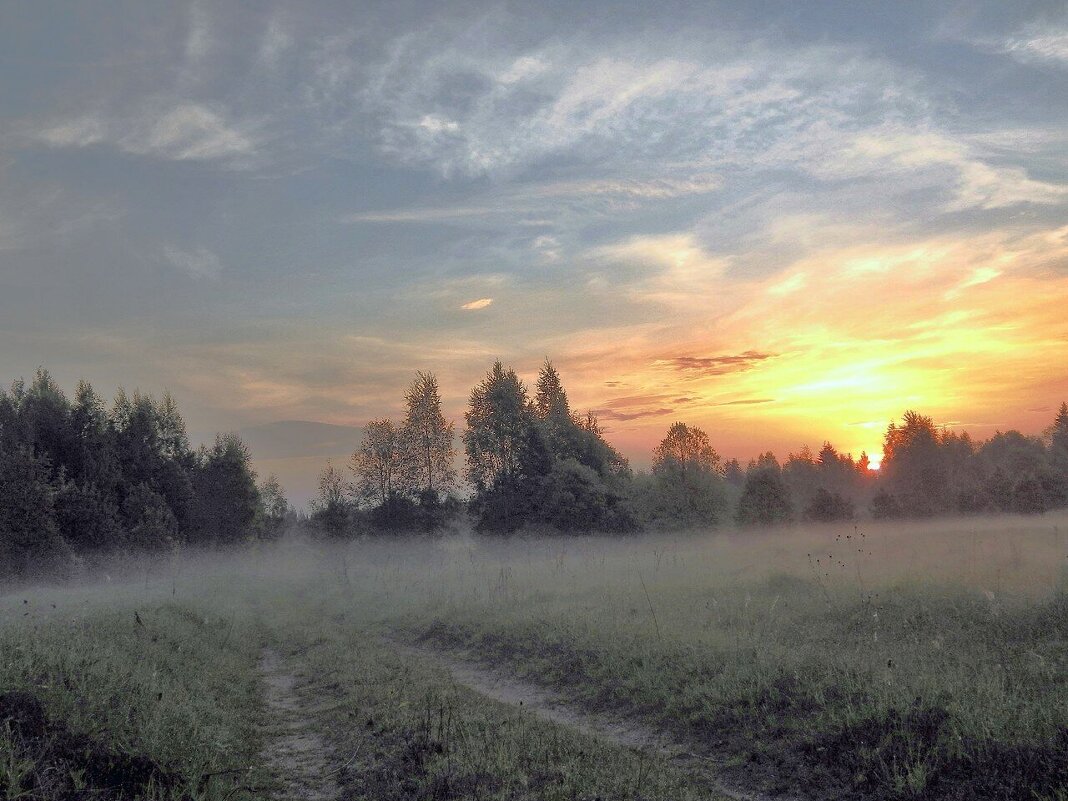 Рассвет в тумане - Юрий Пучков