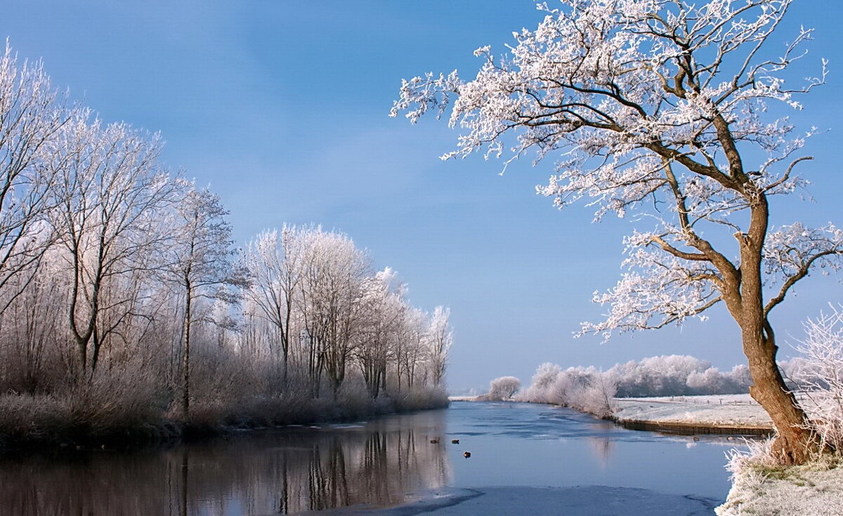 Зимняя река - Alex ARt