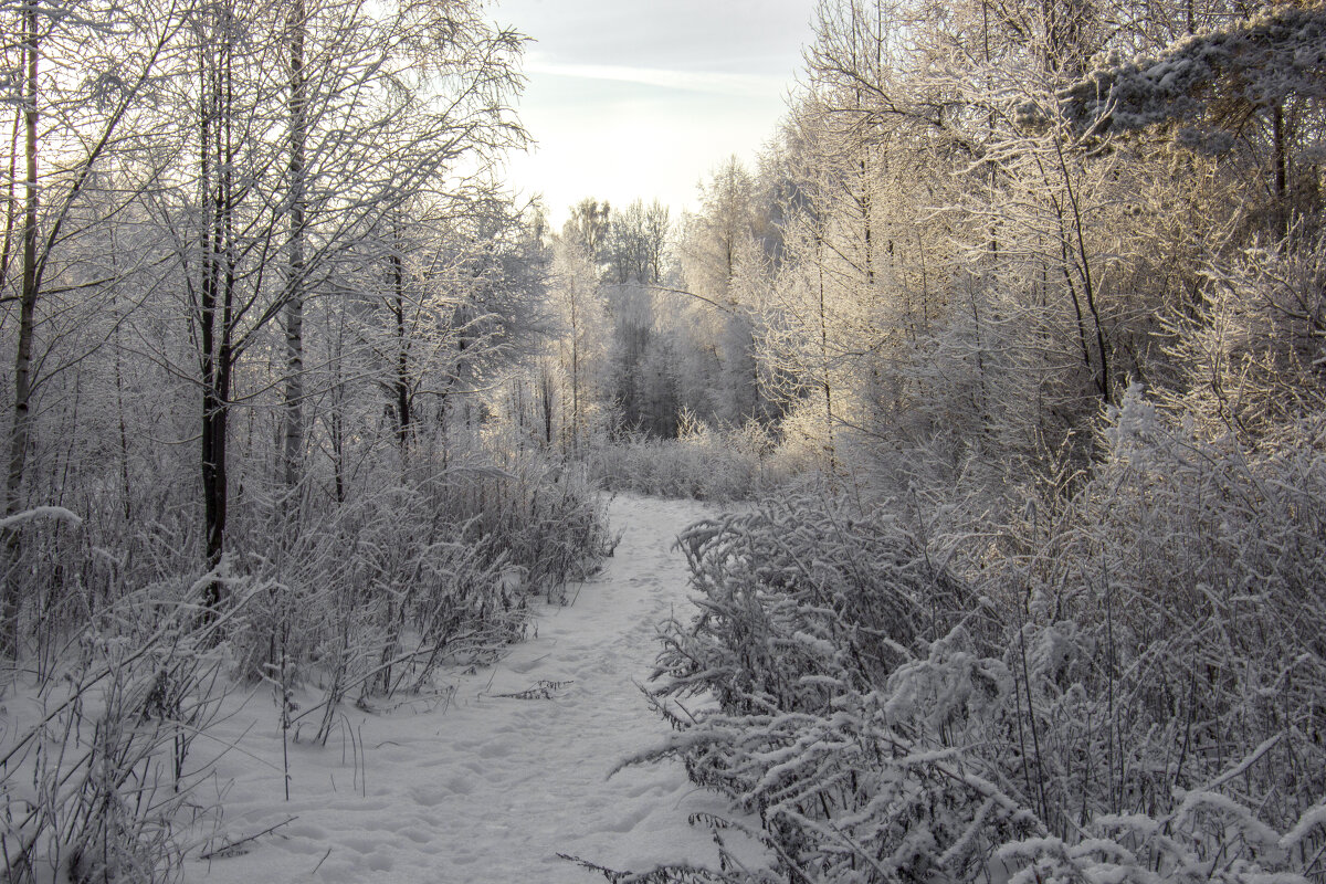 Зима - Андрей Костров