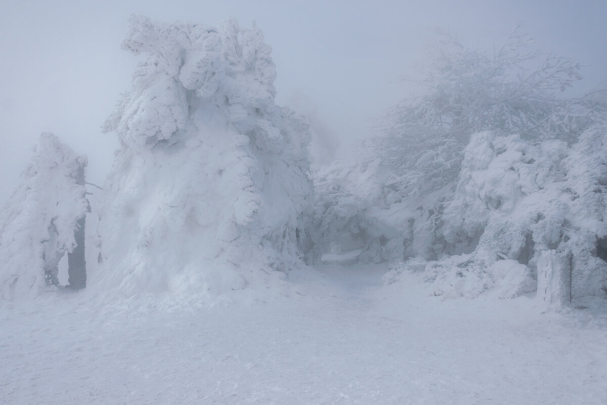 Зимняя сказка на  горе Машук - Татьяна 