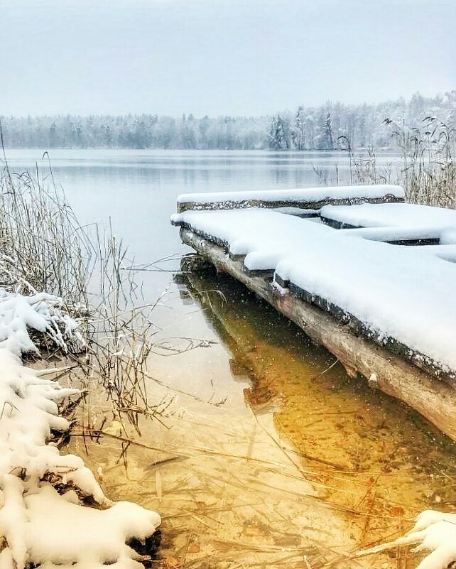 Белое безмолвие. - Анастасия Самигуллина