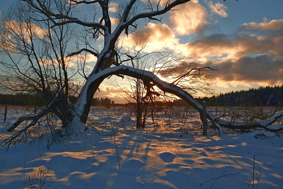 Краски зимнего заката - Анатолий Мо Ка