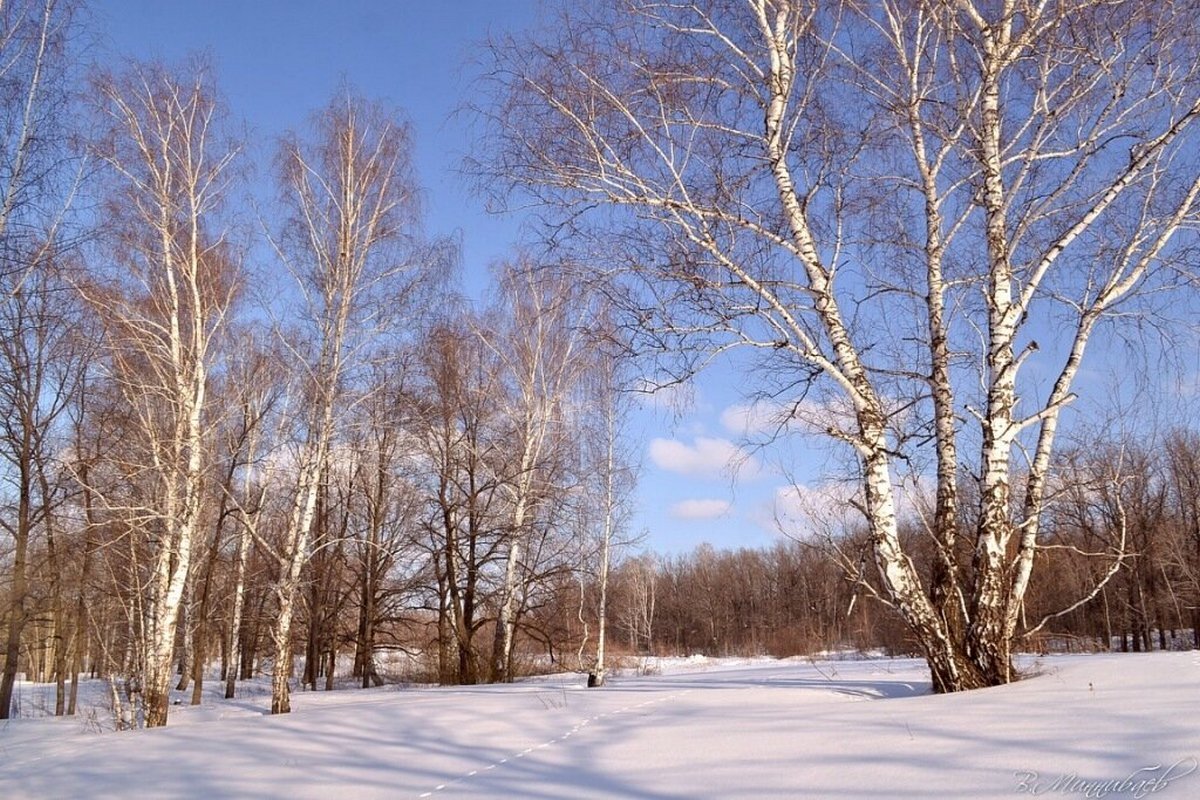 На поляне - Yasnji 