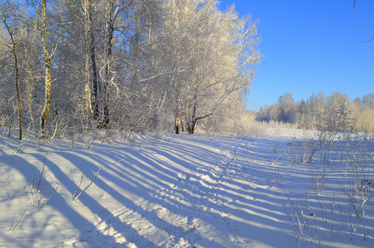 Длинные тени в короткий зимний день - Татьяна Лютаева