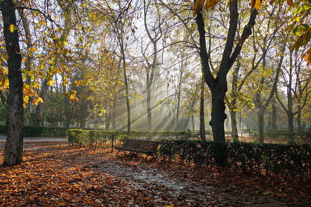 Р=Осень в парке Ретиро - Yakovbar 