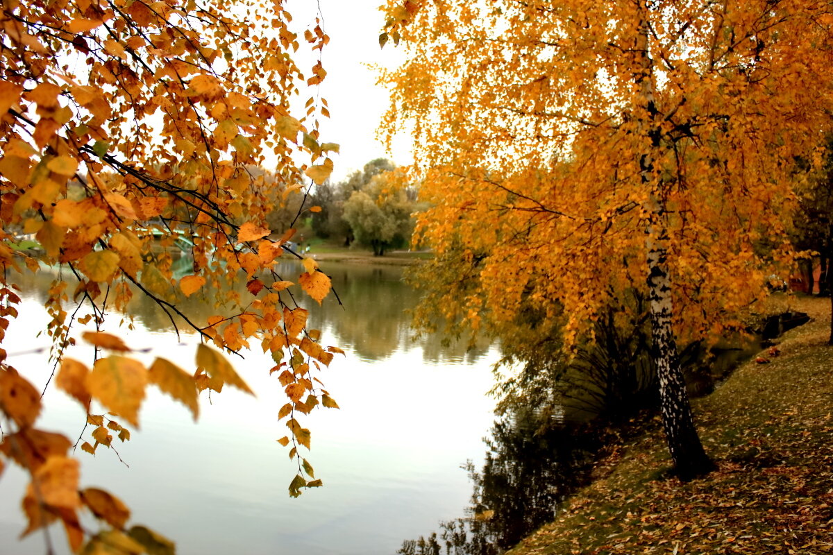 Осень в Царицыно - boris kantor
