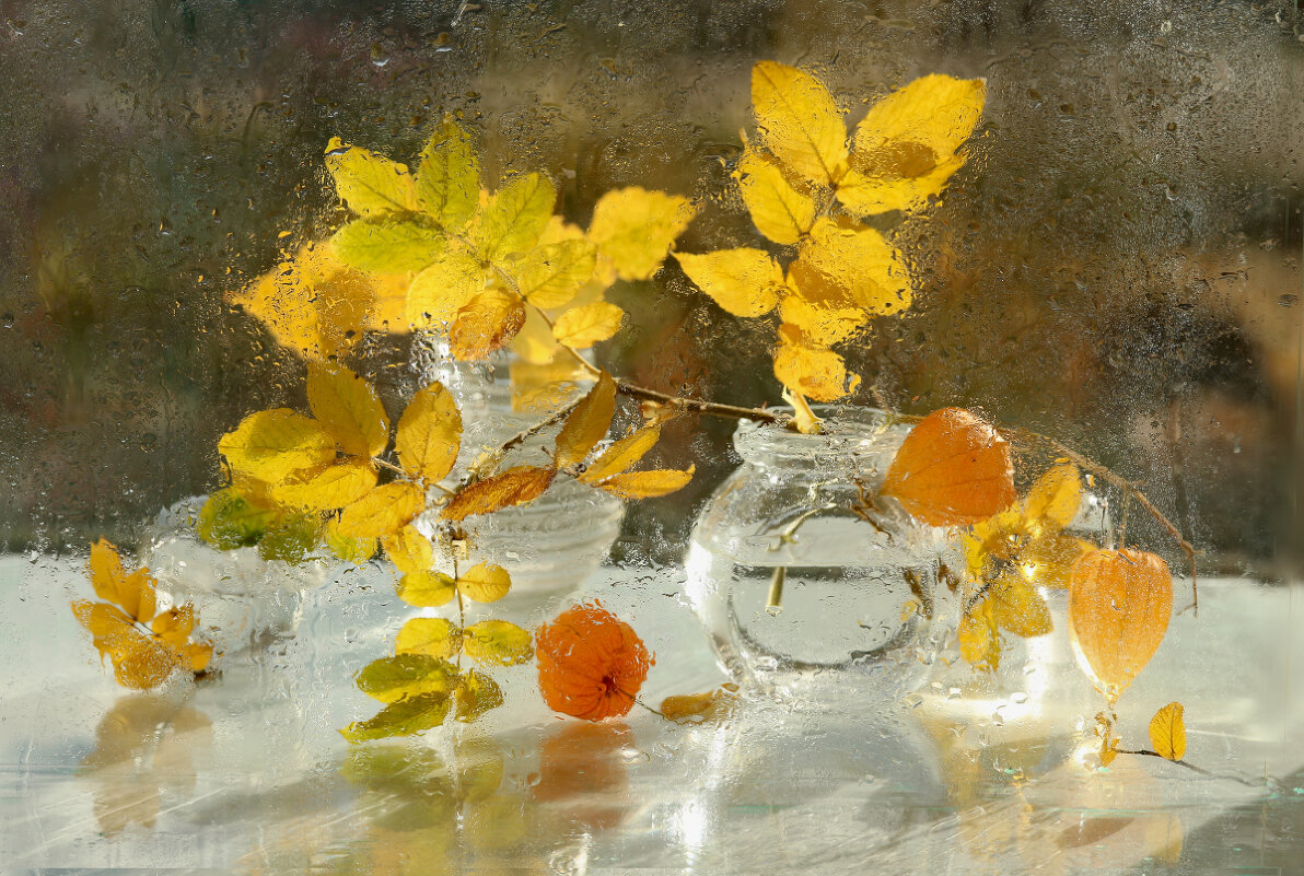 Осень в окне - Татьяна Беляева
