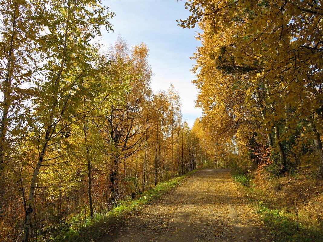 Дорога в осень - Лариса С.