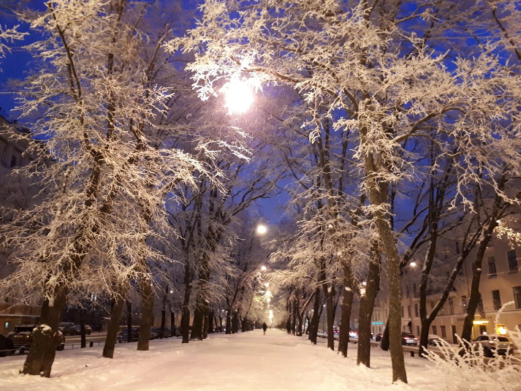 Зимний бульвар - Ирина 