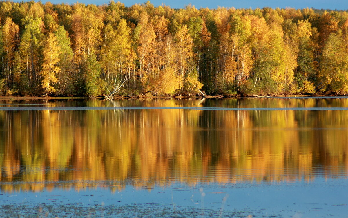 Осеннее очарование... - Нэля Лысенко