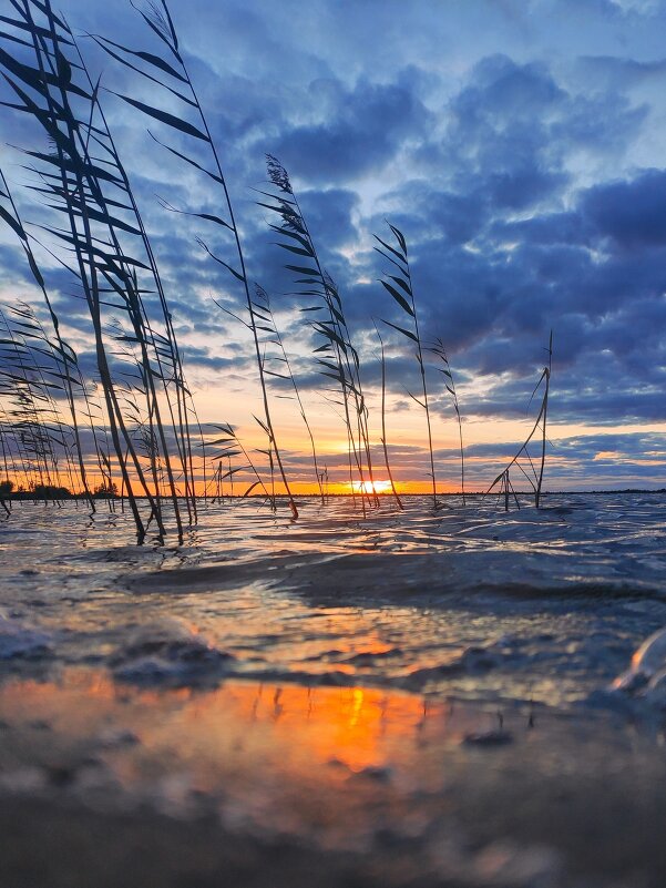 Закат на озере - Ольга Денисова