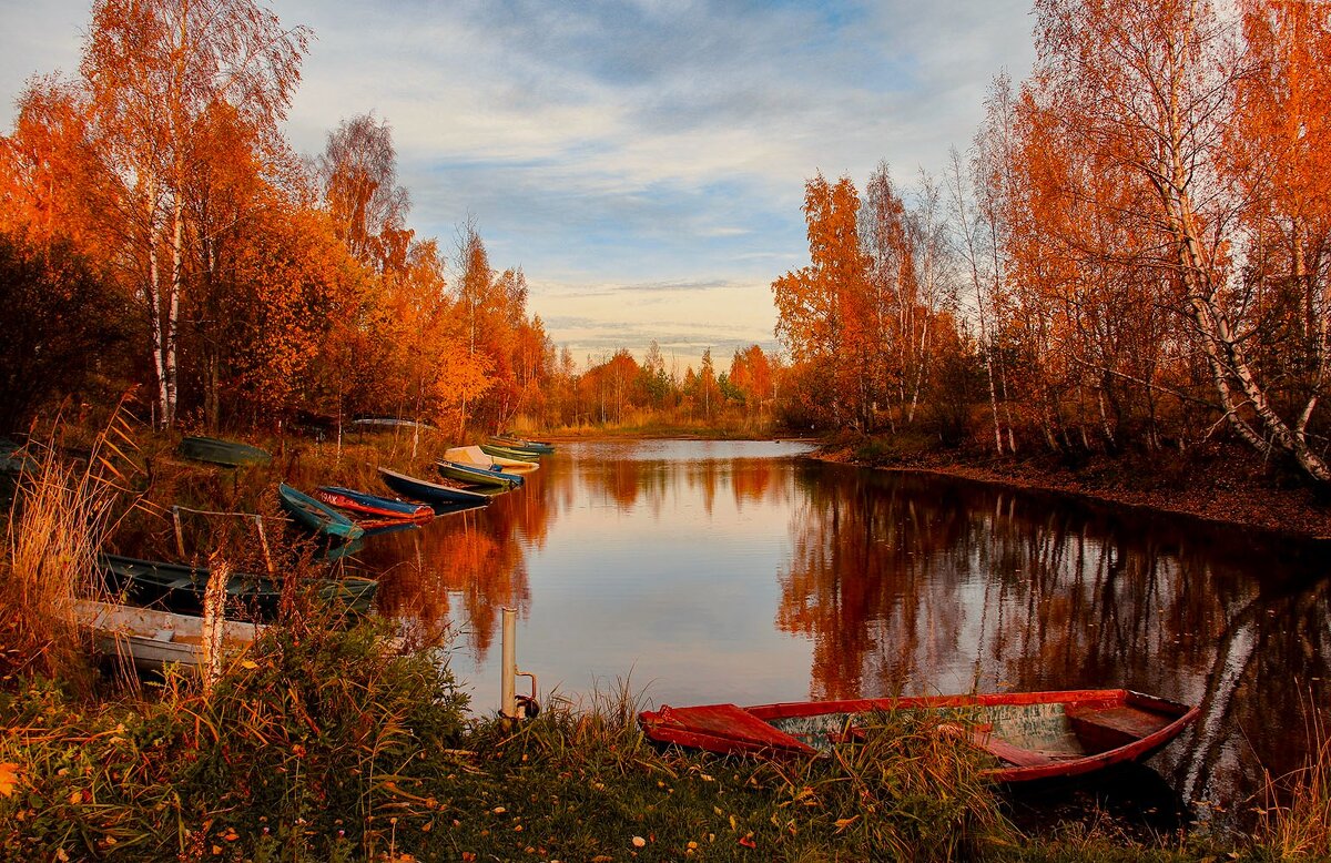 На приколе - Петр 