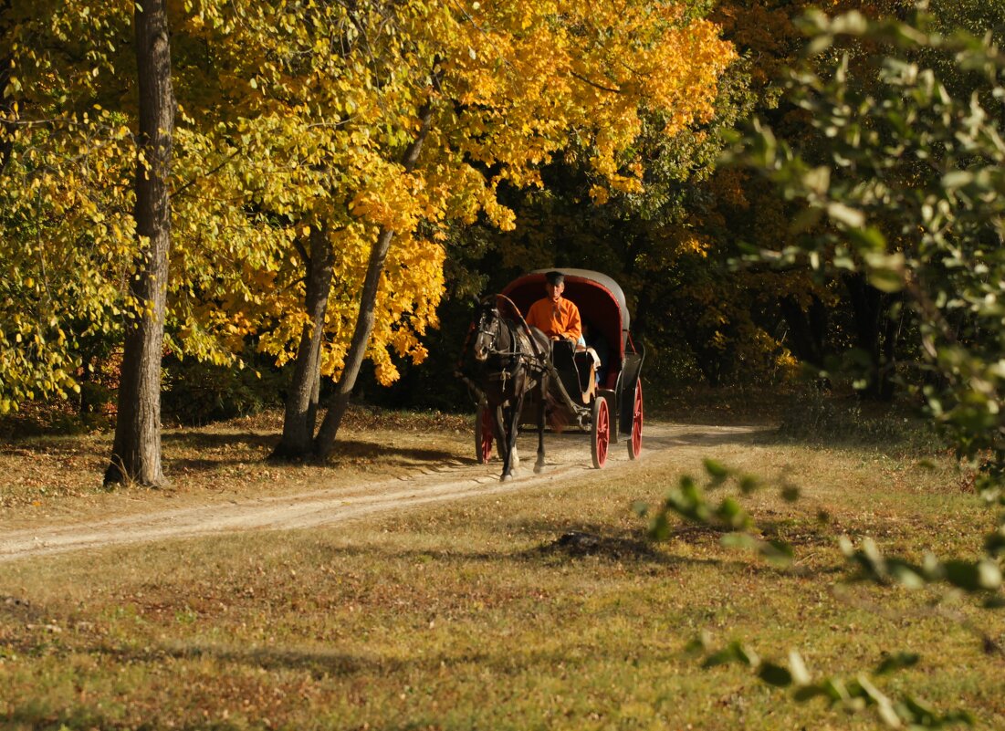 Осень в Тарханах - Пасечник 