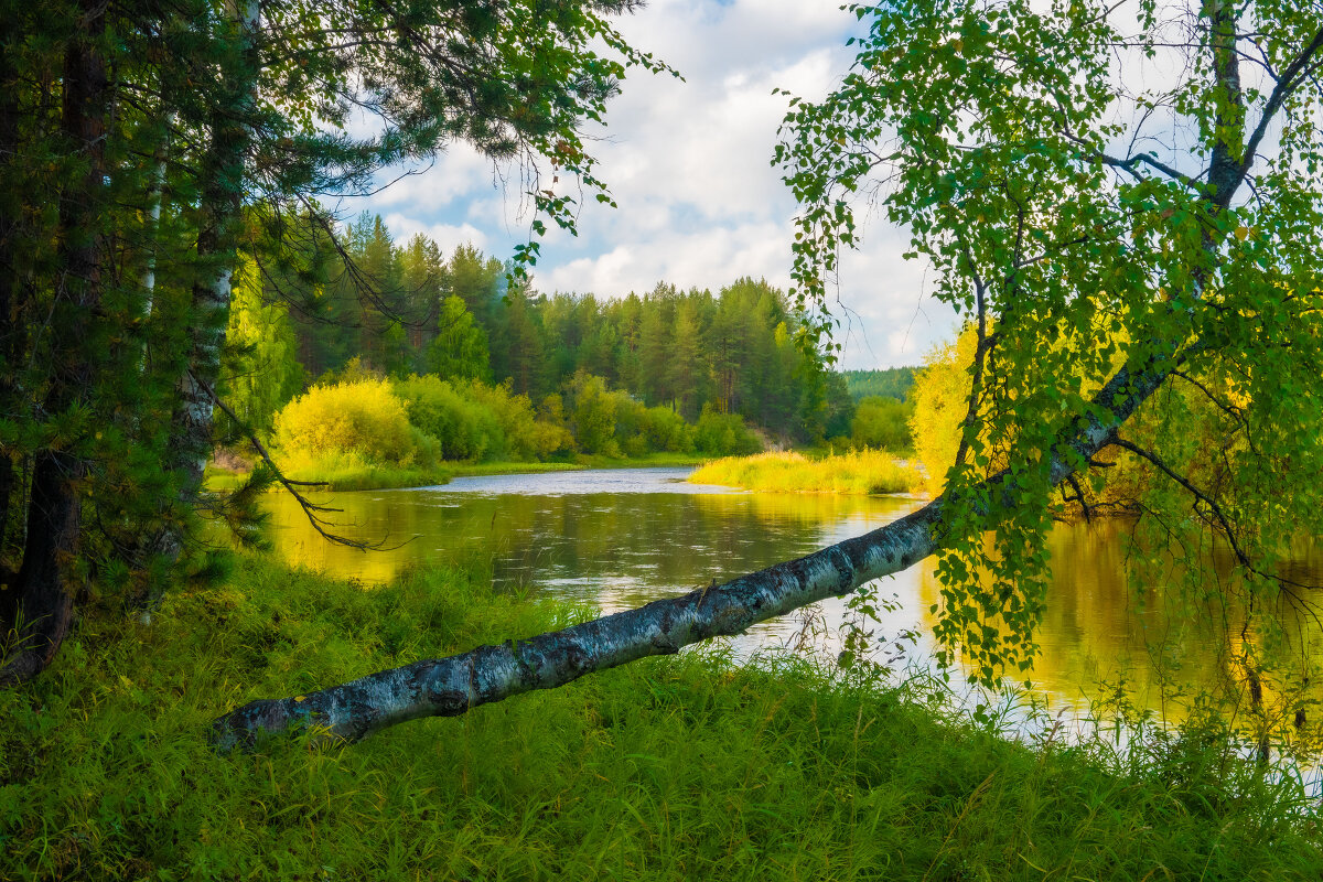 На берегу реки - Александр Ульныров