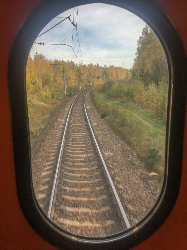 Скорость золотой осени - Светлана Петрова