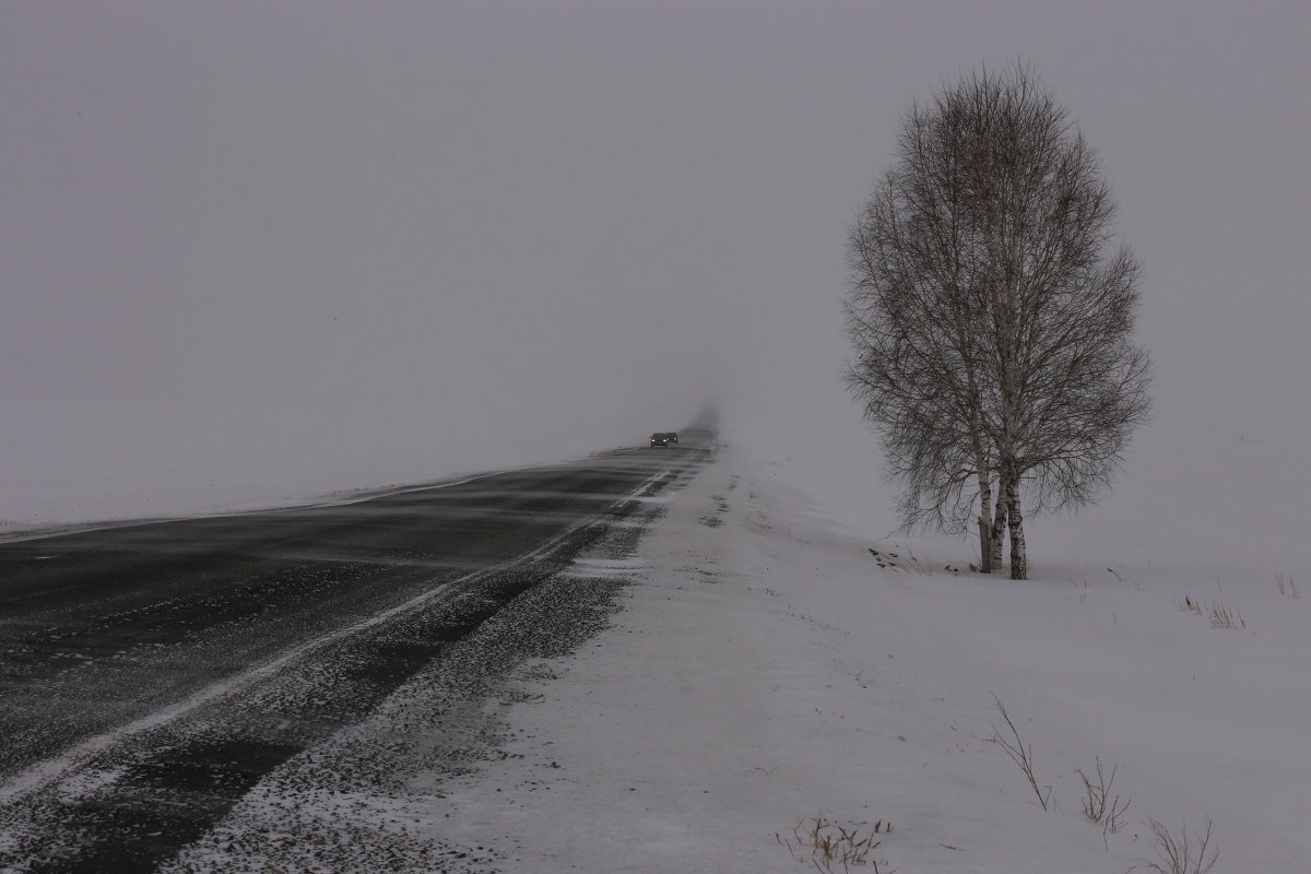 Дорога - Елена 