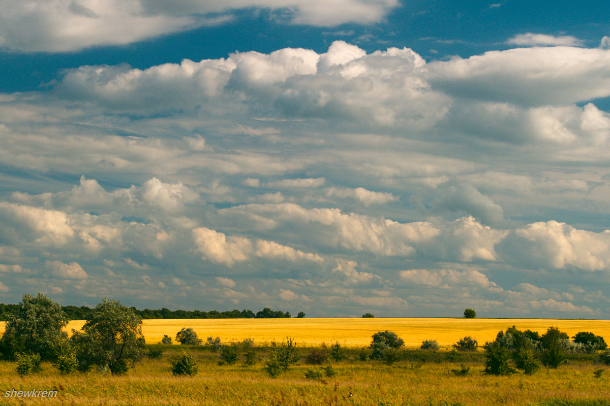 ... - Александр 