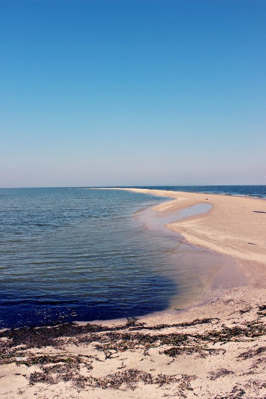 Коса, уходящая в море - Виктория Литвиненко