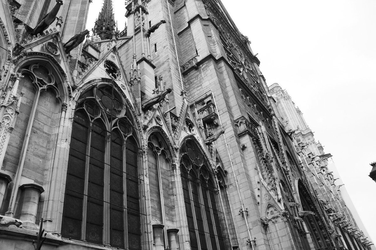 Notre-Dame de Paris - Dany Dany