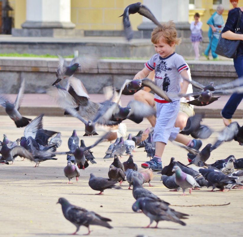 мальчик и голуби - Дмитрий Бабаев
