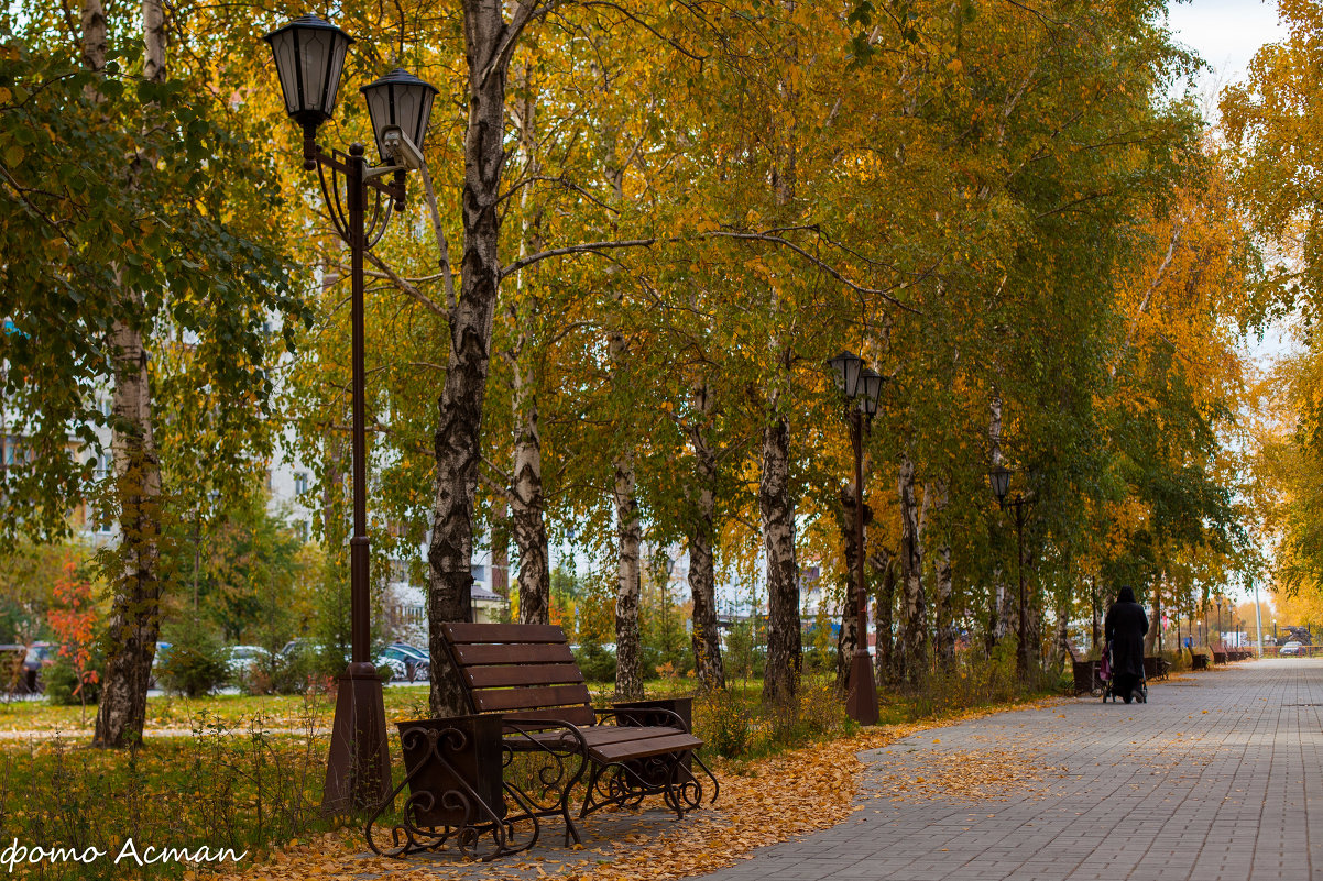 Осень в парке - Алексей Астапенко