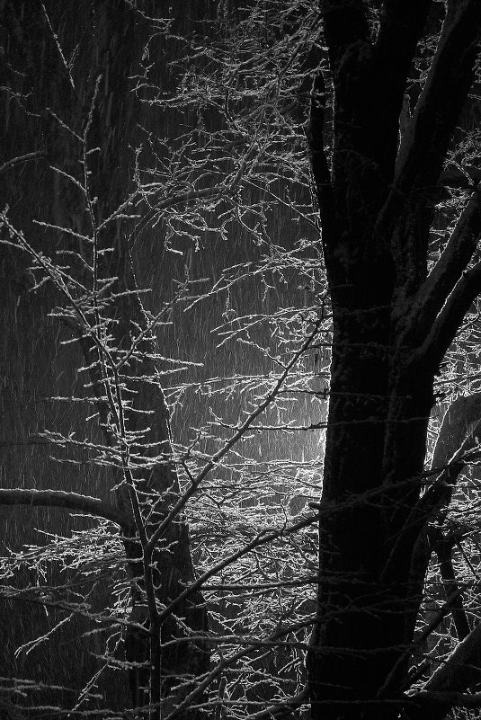 Снег идет морозной ночью - Александр Корсиков