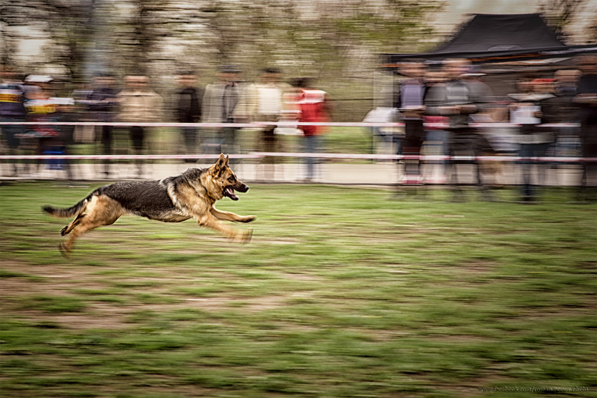 I believe i can fly - Роман Попов