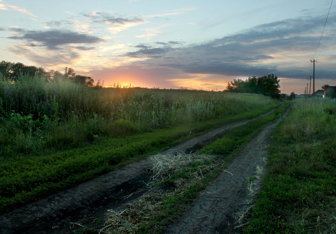 Деревня природа Проселочная дорога