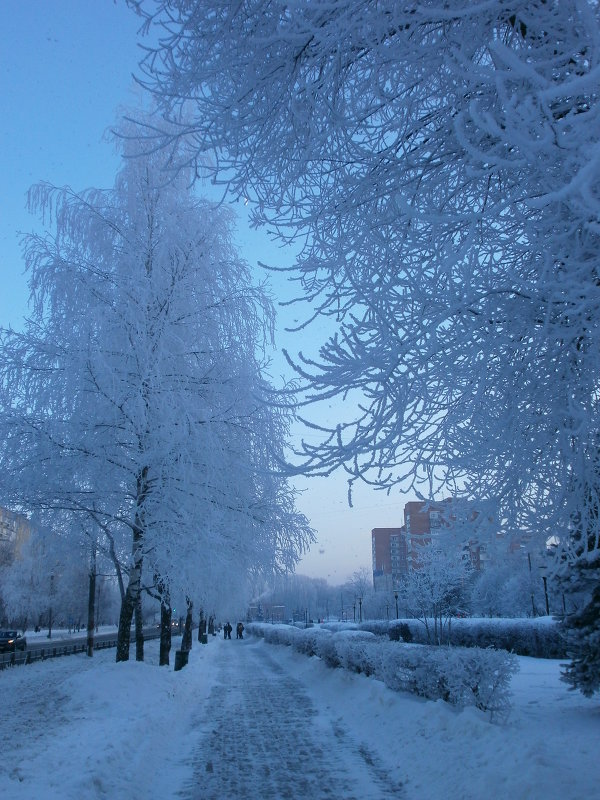 Зима в моём городе... - Алёна Савина