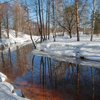 Речка Гусь у деревни Сивцево :: Валерий Толмачев