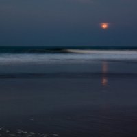 Moonset :: Denis Mayboroda