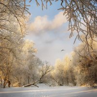 Долгожданный снег :: Саша Уртьев