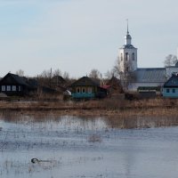 Разлив Северной Двины :: Сергей Михальченко