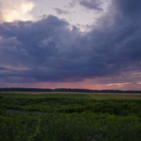 Летний Подмосковный закат :: Виктор М